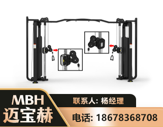 聊城大飞鸟训练器