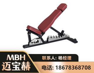 聊城可调哑铃椅